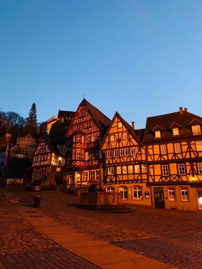 Ferienwohnung Am Brunnen Grossheubach ภายนอก รูปภาพ